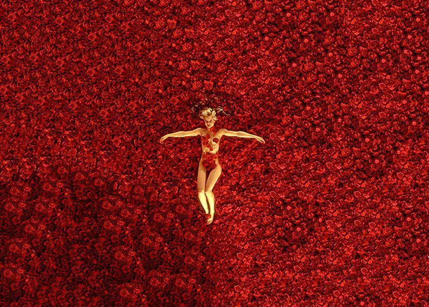 American Beauty roses