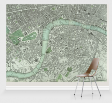 Wall map by Surface View