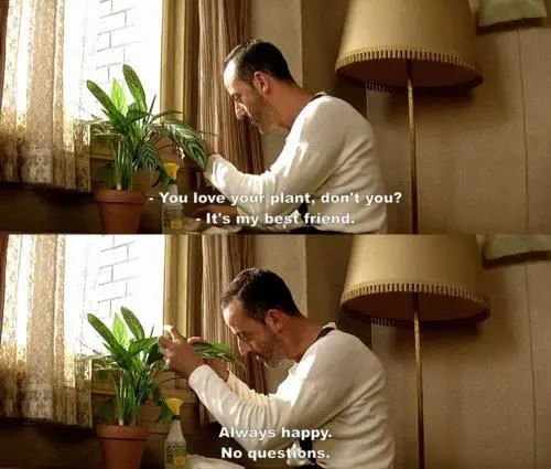 leon-plants-in-the-movies-film-and-furniture