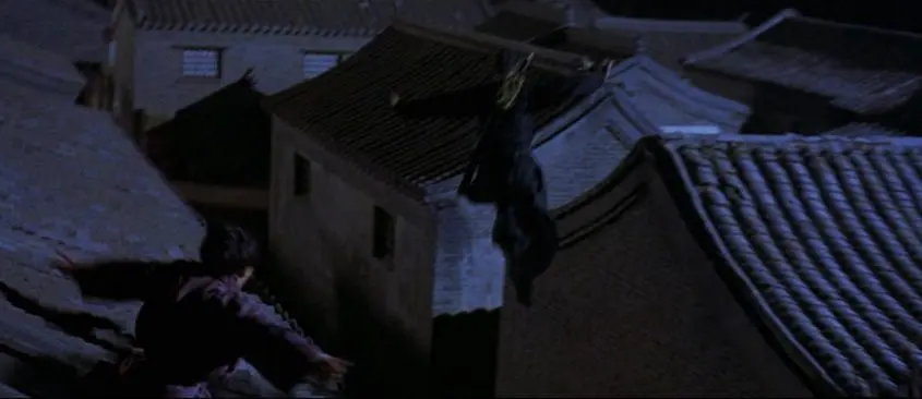 Crouching Tiger, Hidden Dragon rooftops in film
