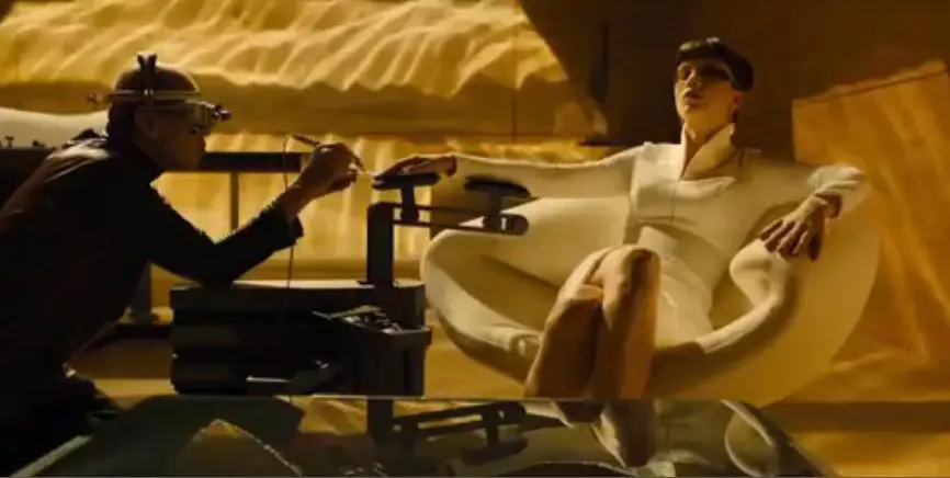 Pierre Paulin Ribbon F582 Chair