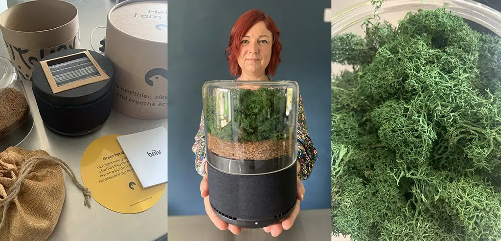 Film and Furniture's Paula Benson getting to know our new Briiv air filter