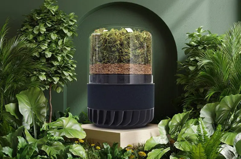 briiv pro air purification film and furniture