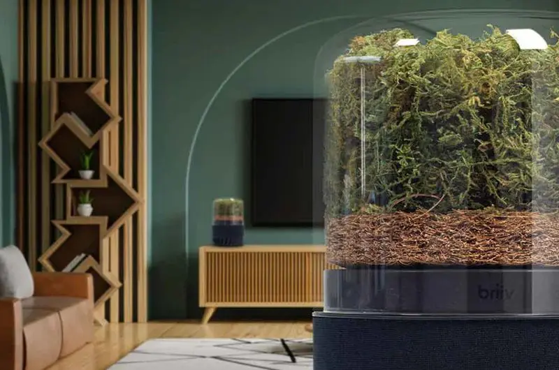 briiv pro air purification film and furniture