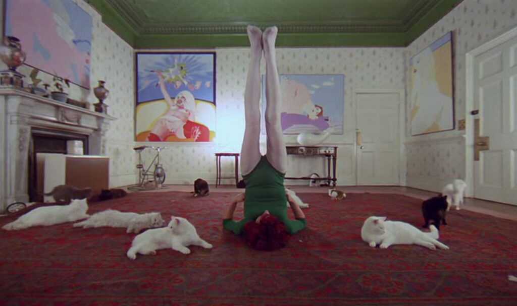 Cat Lady's house in A Clockwork Orange