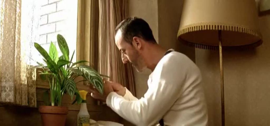 Leon tends to his beloved plant in Leon plants in film