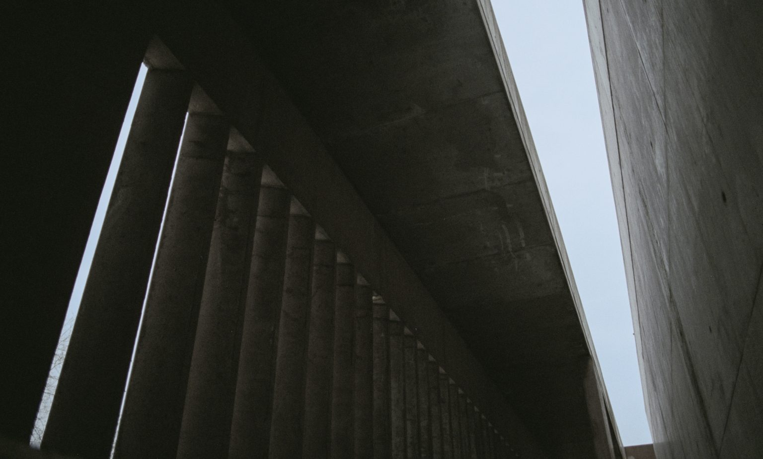 Furniture in The Brutalist: How Early Modernist Designers Influenced a ...