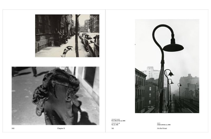 Saul Leiter: The Centennial Retrospective (photography book)
